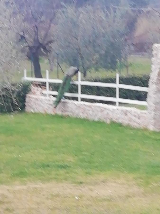 Residenza Nosy Be Villa Palombara Sabina Eksteriør bilde
