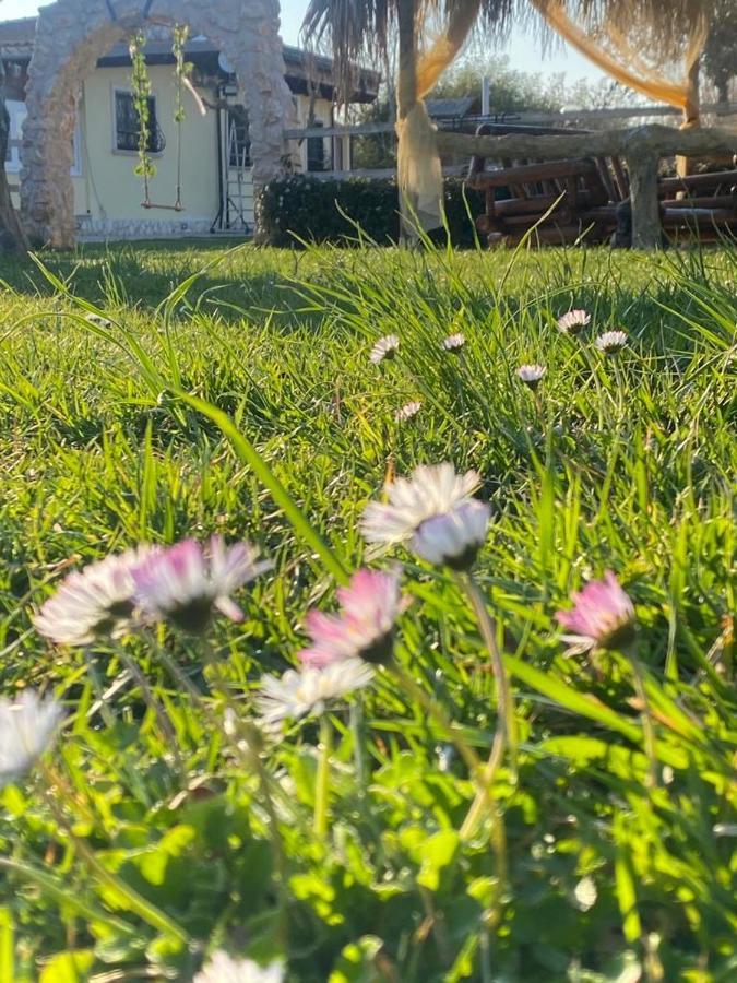 Residenza Nosy Be Villa Palombara Sabina Eksteriør bilde