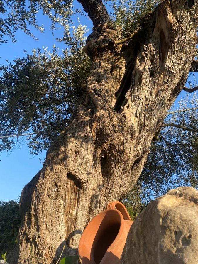 Residenza Nosy Be Villa Palombara Sabina Eksteriør bilde