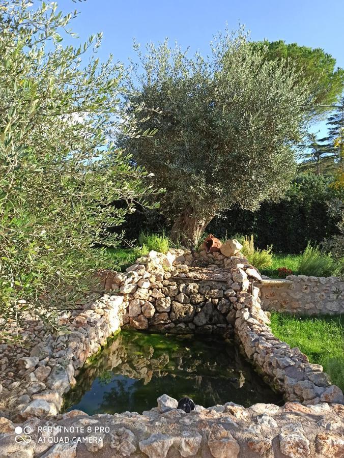 Residenza Nosy Be Villa Palombara Sabina Eksteriør bilde